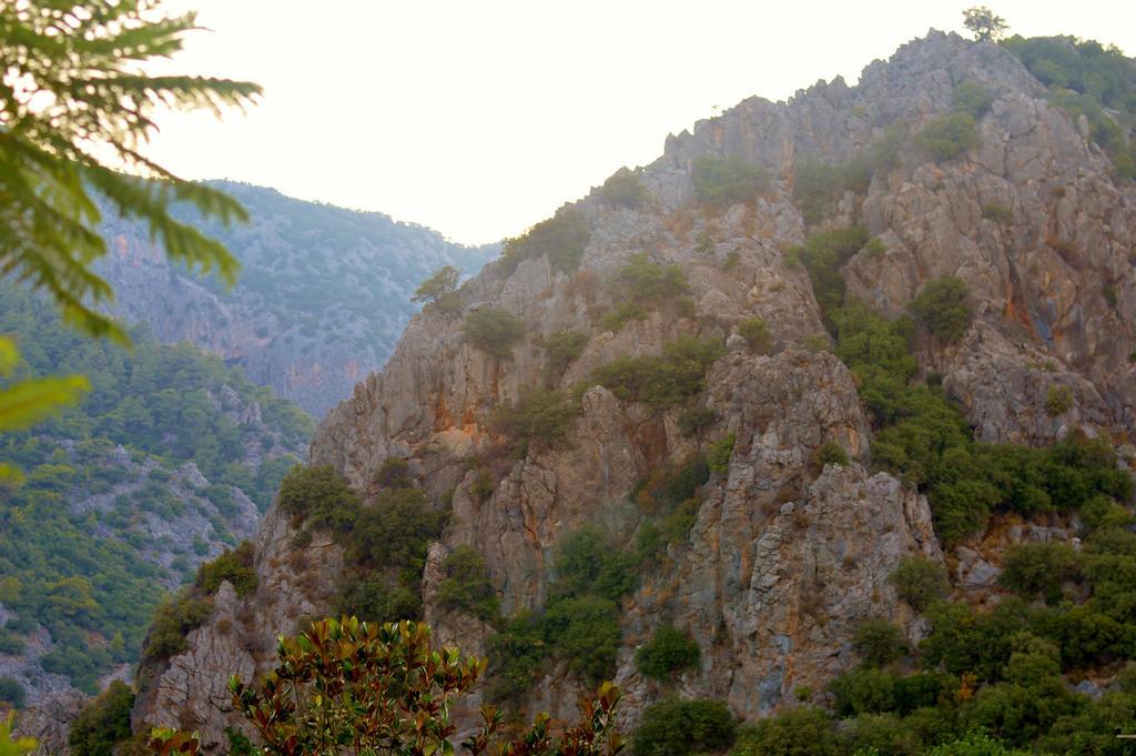 Safir Pansiyon Çıralı Buitenkant foto