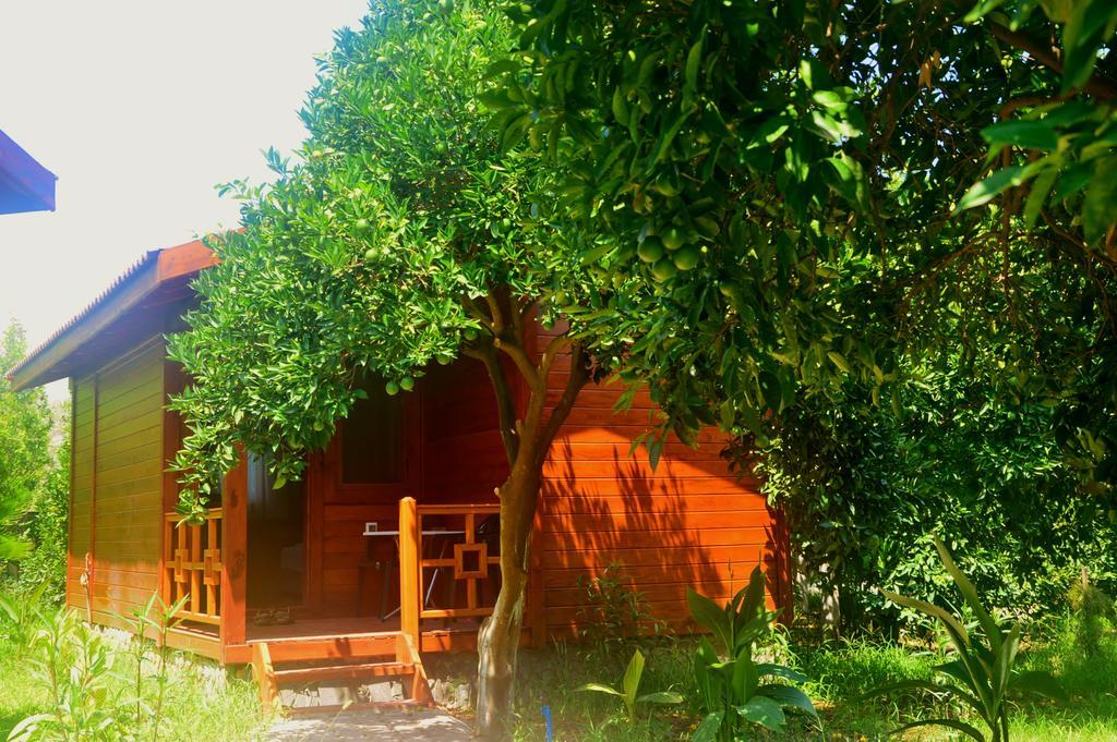 Safir Pansiyon Çıralı Buitenkant foto