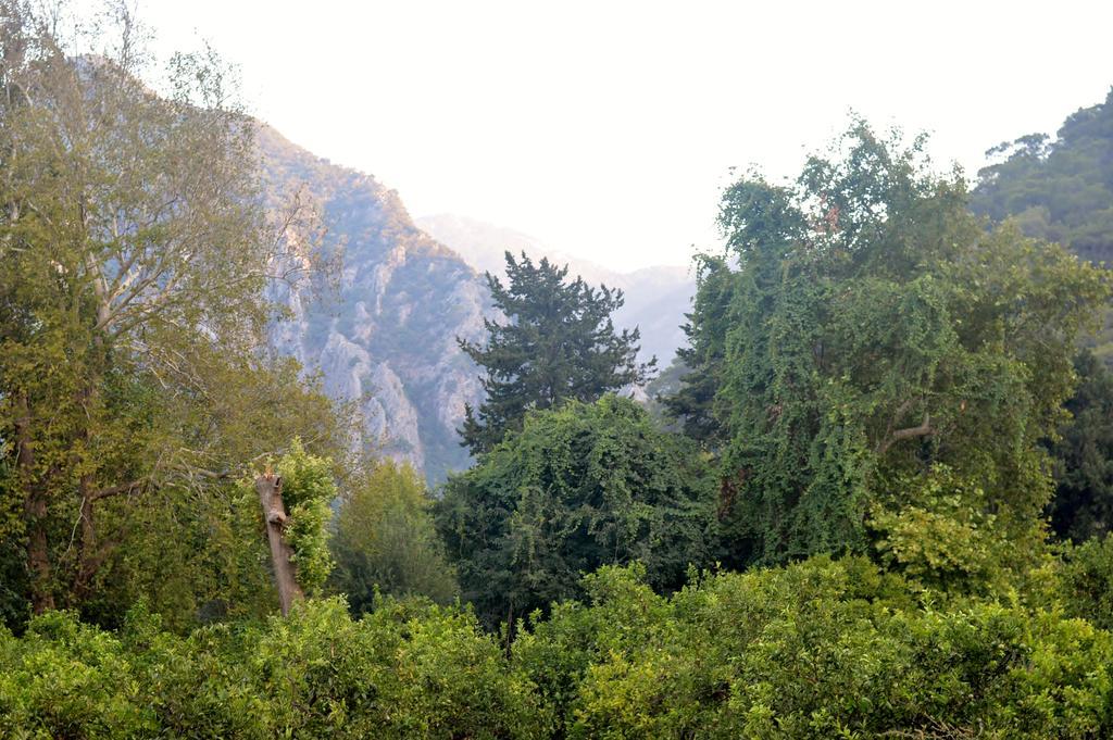Safir Pansiyon Çıralı Buitenkant foto